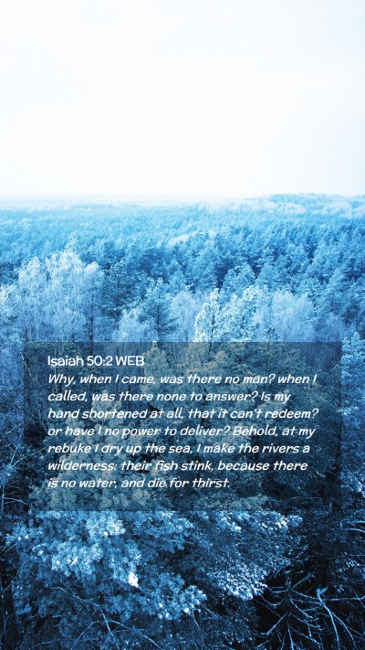 Picture 02 - Isaiah 50:2 WEB Mobile Phone Wallpaper - Why, when I came, was there no man? when I - Mobile Bible Verse Wallpaper