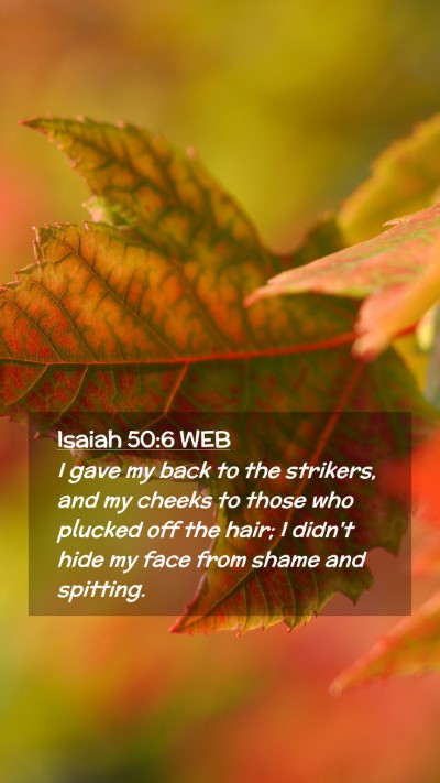 Picture 02 - Isaiah 50:6 WEB Mobile Phone Wallpaper - I gave my back to the strikers, and my cheeks to - Mobile Bible Verse Wallpaper