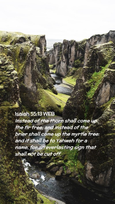Picture 02 - Isaiah 55:13 WEB Mobile Phone Wallpaper - Instead of the thorn shall come up the fir tree; - Mobile Bible Verse Wallpaper