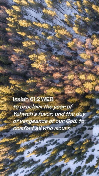 Picture 02 - Isaiah 61:2 WEB Mobile Phone Wallpaper - to proclaim the year of Yahweh's favor, and the - Mobile Bible Verse Wallpaper