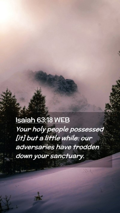 Picture 02 - Isaiah 63:18 WEB Mobile Phone Wallpaper - Your holy people possessed [it] but a little - Mobile Bible Verse Wallpaper
