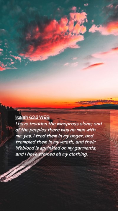 Picture 02 - Isaiah 63:3 WEB Mobile Phone Wallpaper - I have trodden the winepress alone; and of the - Mobile Bible Verse Wallpaper