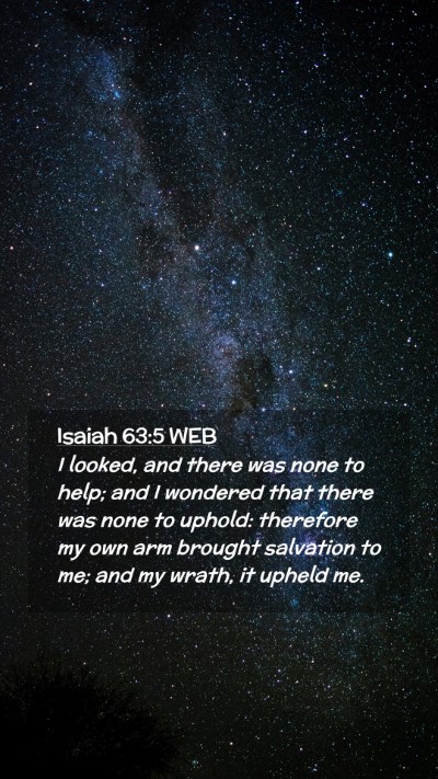 Picture 02 - Isaiah 63:5 WEB Mobile Phone Wallpaper - I looked, and there was none to help; and I - Mobile Bible Verse Wallpaper