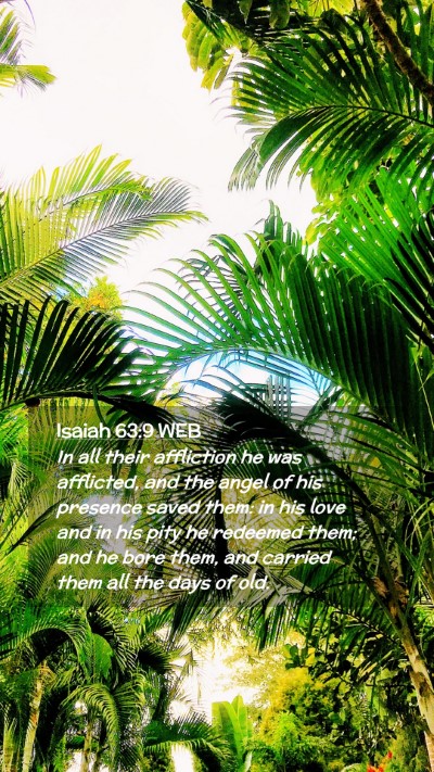 Picture 02 - Isaiah 63:9 WEB Mobile Phone Wallpaper - In all their affliction he was afflicted, and the - Mobile Bible Verse Wallpaper