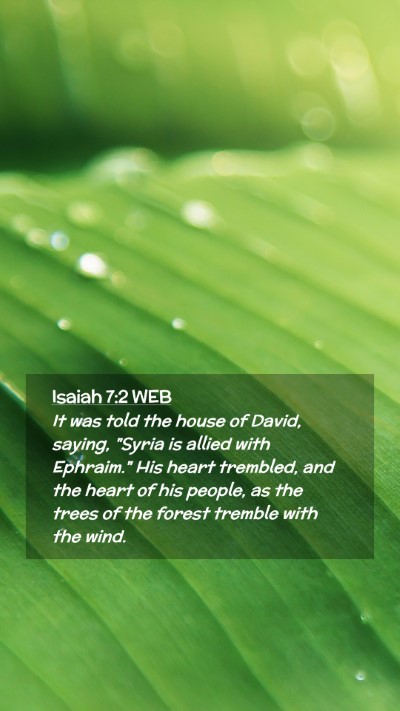 Picture 02 - Isaiah 7:2 WEB Mobile Phone Wallpaper - It was told the house of David, saying, 