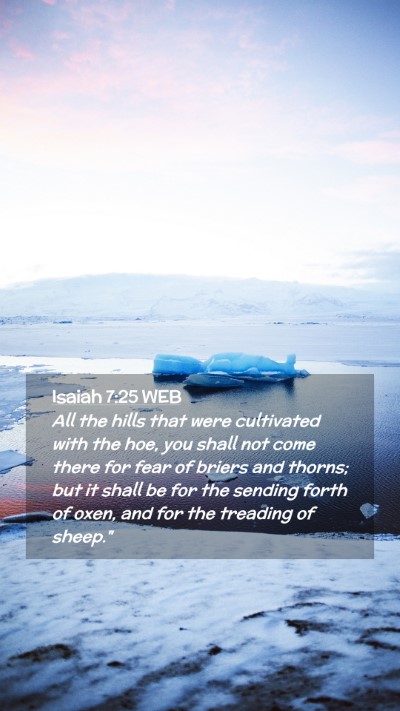 Picture 02 - Isaiah 7:25 WEB Mobile Phone Wallpaper - All the hills that were cultivated with the hoe, - Mobile Bible Verse Wallpaper