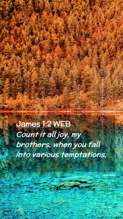 Picture 02 - James 1:2 WEB Mobile Phone Wallpaper - Count it all joy, my brothers, when you fall into - Mobile Bible Verse Wallpaper