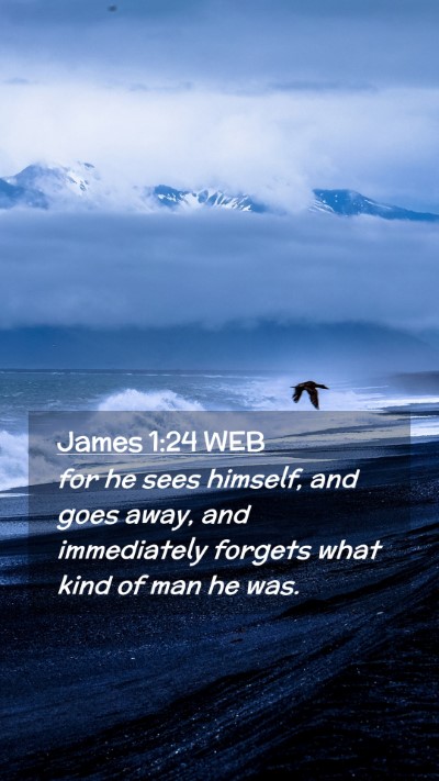 Picture 02 - James 1:24 WEB Mobile Phone Wallpaper - for he sees himself, and goes away, and - Mobile Bible Verse Wallpaper
