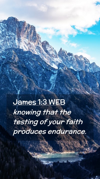 Picture 02 - James 1:3 WEB Mobile Phone Wallpaper - knowing that the testing of your faith produces - Mobile Bible Verse Wallpaper