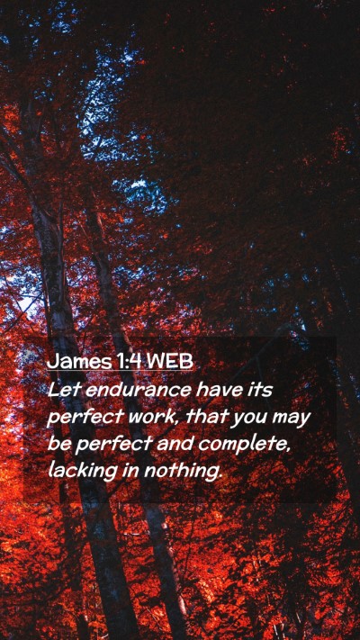 Picture 02 - James 1:4 WEB Mobile Phone Wallpaper - Let endurance have its perfect work, that you may - Mobile Bible Verse Wallpaper