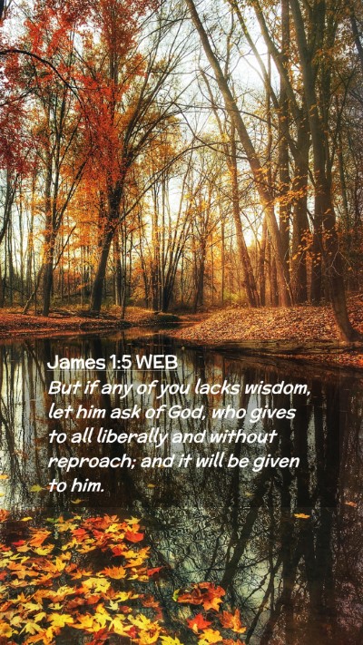 Picture 02 - James 1:5 WEB Mobile Phone Wallpaper - But if any of you lacks wisdom, let him ask of - Mobile Bible Verse Wallpaper