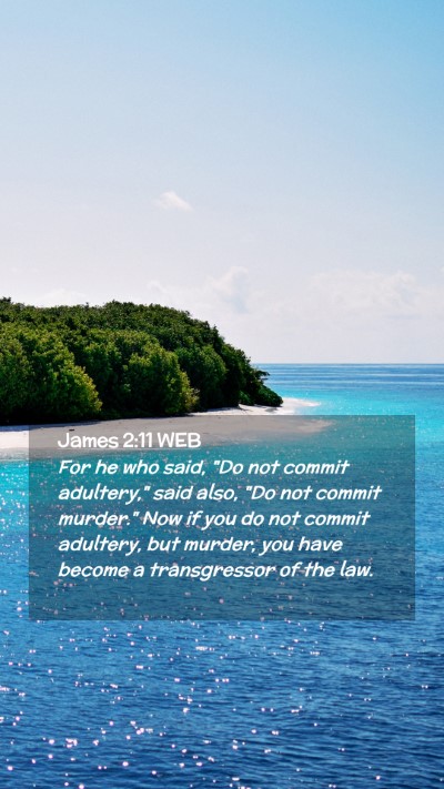 Picture 02 - James 2:11 WEB Mobile Phone Wallpaper - For he who said, 