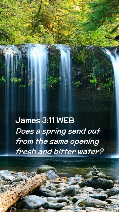Picture 02 - James 3:11 WEB Mobile Phone Wallpaper - Does a spring send out from the same opening - Mobile Bible Verse Wallpaper
