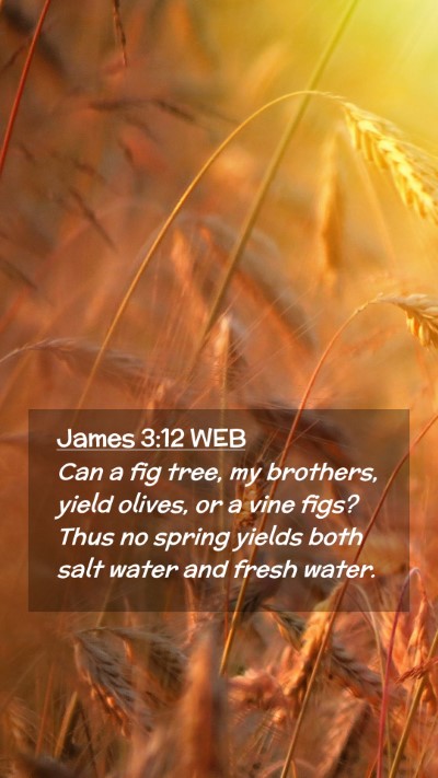 Picture 02 - James 3:12 WEB Mobile Phone Wallpaper - Can a fig tree, my brothers, yield olives, or a - Mobile Bible Verse Wallpaper