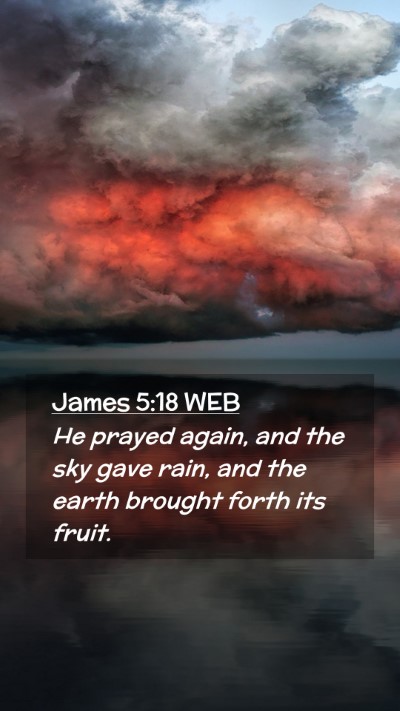 Picture 02 - James 5:18 WEB Mobile Phone Wallpaper - He prayed again, and the sky gave rain, and the - Mobile Bible Verse Wallpaper