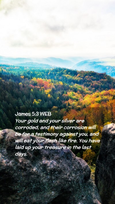 Picture 02 - James 5:3 WEB Mobile Phone Wallpaper - Your gold and your silver are corroded, and their - Mobile Bible Verse Wallpaper