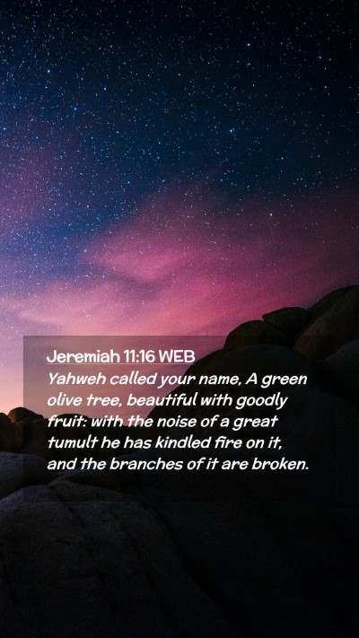 Picture 02 - Jeremiah 11:16 WEB Mobile Phone Wallpaper - Yahweh called your name, A green olive tree, - Mobile Bible Verse Wallpaper