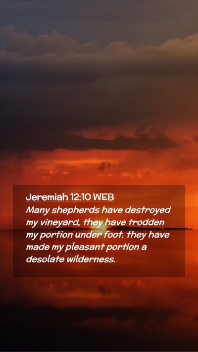 Picture 02 - Jeremiah 12:10 WEB Mobile Phone Wallpaper - Many shepherds have destroyed my vineyard, they - Mobile Bible Verse Wallpaper