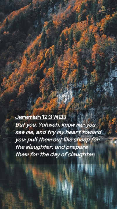 Picture 02 - Jeremiah 12:3 WEB Mobile Phone Wallpaper - But you, Yahweh, know me; you see me, and try my - Mobile Bible Verse Wallpaper