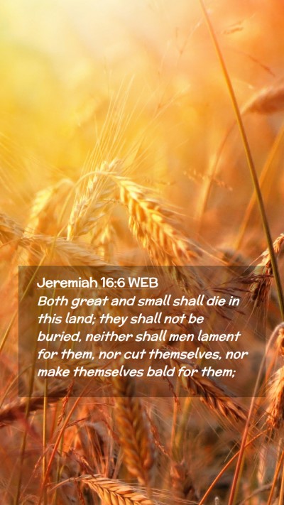 Picture 02 - Jeremiah 16:6 WEB Mobile Phone Wallpaper - Both great and small shall die in this land; they - Mobile Bible Verse Wallpaper