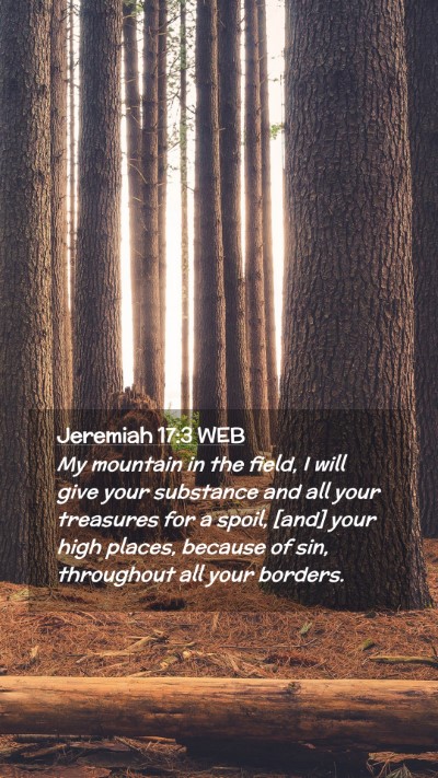 Picture 02 - Jeremiah 17:3 WEB Mobile Phone Wallpaper - My mountain in the field, I will give your - Mobile Bible Verse Wallpaper