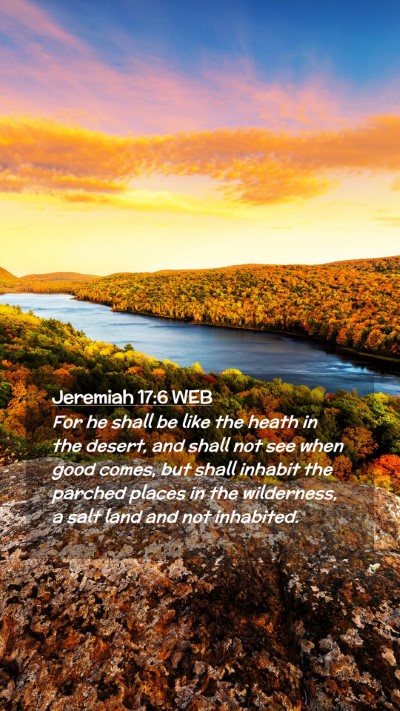 Picture 02 - Jeremiah 17:6 WEB Mobile Phone Wallpaper - For he shall be like the heath in the desert, and - Mobile Bible Verse Wallpaper