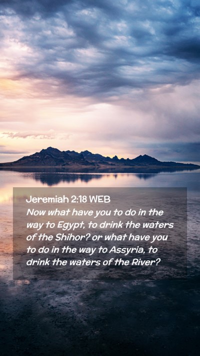 Picture 02 - Jeremiah 2:18 WEB Mobile Phone Wallpaper - Now what have you to do in the way to Egypt, to - Mobile Bible Verse Wallpaper
