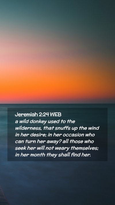 Picture 02 - Jeremiah 2:24 WEB Mobile Phone Wallpaper - a wild donkey used to the wilderness, that snuffs - Mobile Bible Verse Wallpaper
