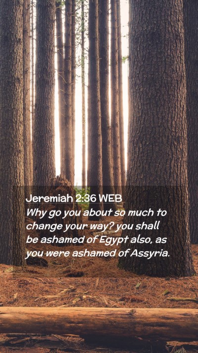 Picture 02 - Jeremiah 2:36 WEB Mobile Phone Wallpaper - Why go you about so much to change your way? you - Mobile Bible Verse Wallpaper