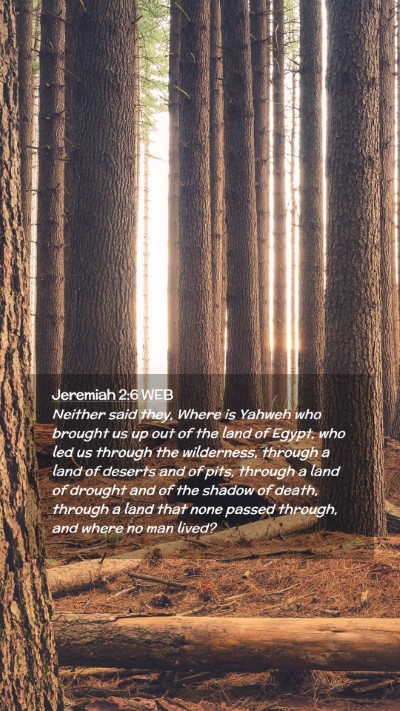 Picture 02 - Jeremiah 2:6 WEB Mobile Phone Wallpaper - Neither said they, Where is Yahweh who brought us - Mobile Bible Verse Wallpaper