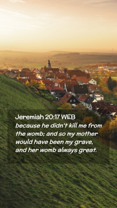 Picture 02 - Jeremiah 20:17 WEB Mobile Phone Wallpaper - because he didn't kill me from the womb; and so - Mobile Bible Verse Wallpaper