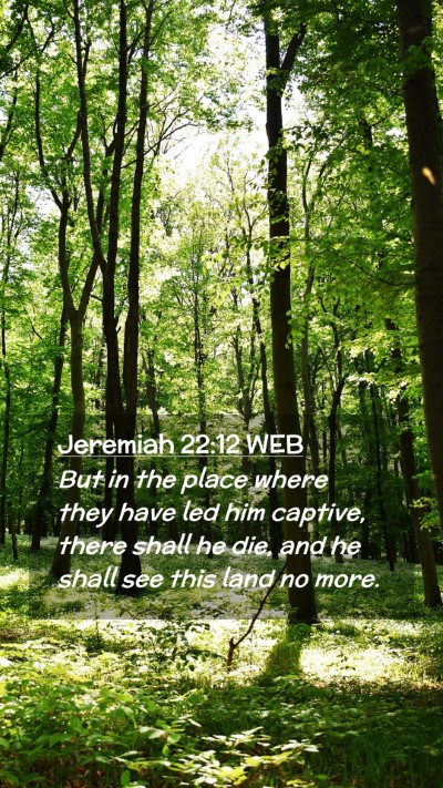 Picture 02 - Jeremiah 22:12 WEB Mobile Phone Wallpaper - But in the place where they have led him captive, - Mobile Bible Verse Wallpaper