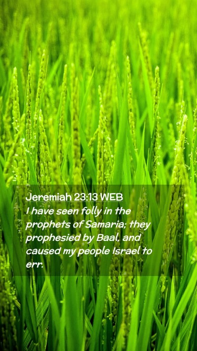 Picture 02 - Jeremiah 23:13 WEB Mobile Phone Wallpaper - I have seen folly in the prophets of Samaria; - Mobile Bible Verse Wallpaper