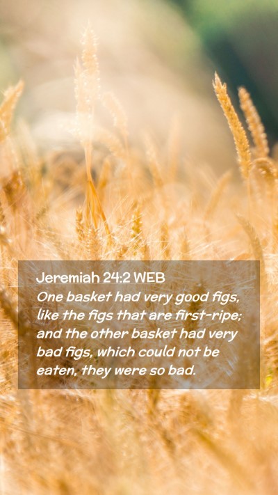 Picture 02 - Jeremiah 24:2 WEB Mobile Phone Wallpaper - One basket had very good figs, like the figs that - Mobile Bible Verse Wallpaper