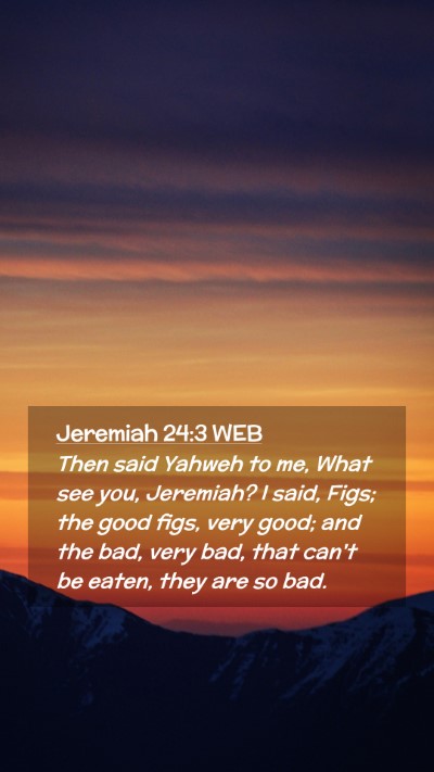 Picture 02 - Jeremiah 24:3 WEB Mobile Phone Wallpaper - Then said Yahweh to me, What see you, Jeremiah? I - Mobile Bible Verse Wallpaper