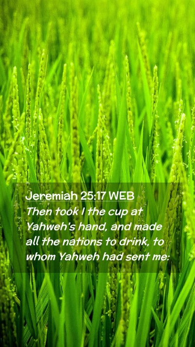 Picture 02 - Jeremiah 25:17 WEB Mobile Phone Wallpaper - Then took I the cup at Yahweh's hand, and made - Mobile Bible Verse Wallpaper
