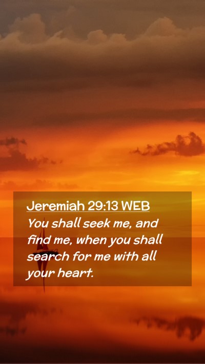 Picture 02 - Jeremiah 29:13 WEB Mobile Phone Wallpaper - You shall seek me, and find me, when you shall - Mobile Bible Verse Wallpaper
