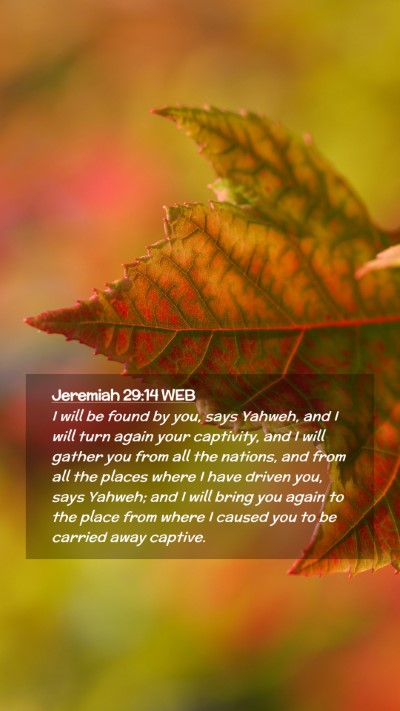 Picture 02 - Jeremiah 29:14 WEB Mobile Phone Wallpaper - I will be found by you, says Yahweh, and I will - Mobile Bible Verse Wallpaper