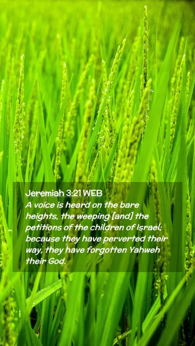 Picture 02 - Jeremiah 3:21 WEB Mobile Phone Wallpaper - A voice is heard on the bare heights, the weeping - Mobile Bible Verse Wallpaper