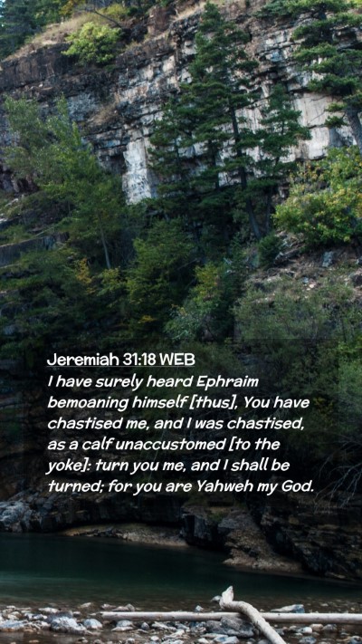 Picture 02 - Jeremiah 31:18 WEB Mobile Phone Wallpaper - I have surely heard Ephraim bemoaning himself - Mobile Bible Verse Wallpaper
