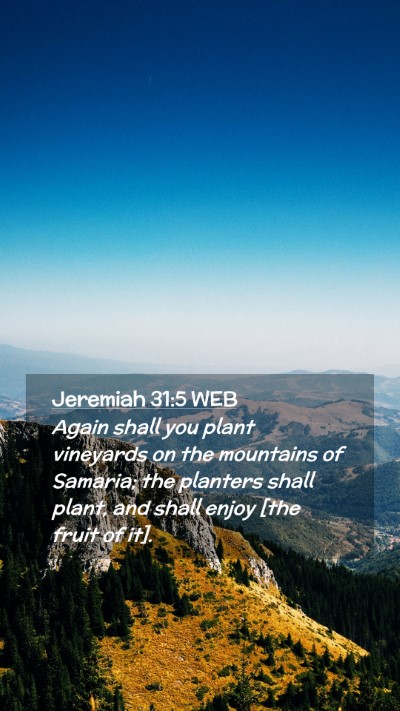 Picture 02 - Jeremiah 31:5 WEB Mobile Phone Wallpaper - Again shall you plant vineyards on the mountains - Mobile Bible Verse Wallpaper