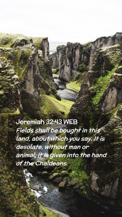 Picture 02 - Jeremiah 32:43 WEB Mobile Phone Wallpaper - Fields shall be bought in this land, about which - Mobile Bible Verse Wallpaper