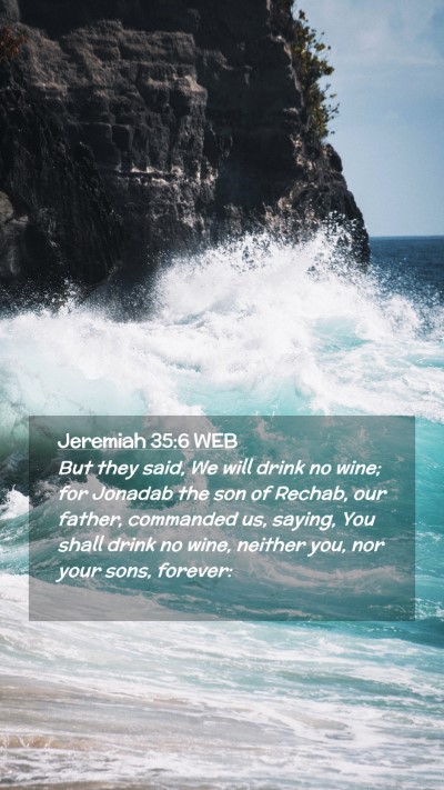 Picture 02 - Jeremiah 35:6 WEB Mobile Phone Wallpaper - But they said, We will drink no wine; for Jonadab - Mobile Bible Verse Wallpaper