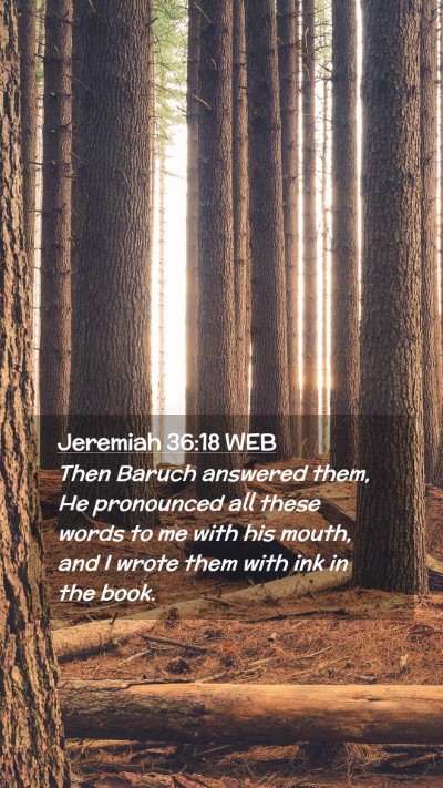 Picture 02 - Jeremiah 36:18 WEB Mobile Phone Wallpaper - Then Baruch answered them, He pronounced all - Mobile Bible Verse Wallpaper