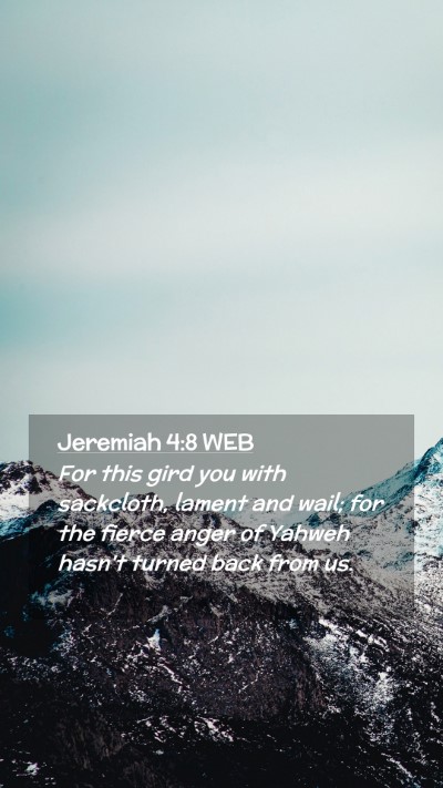 Picture 02 - Jeremiah 4:8 WEB Mobile Phone Wallpaper - For this gird you with sackcloth, lament and - Mobile Bible Verse Wallpaper