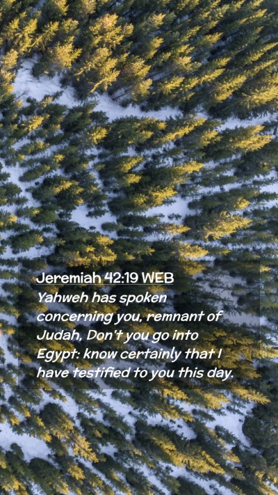 Picture 02 - Jeremiah 42:19 WEB Mobile Phone Wallpaper - Yahweh has spoken concerning you, remnant of - Mobile Bible Verse Wallpaper