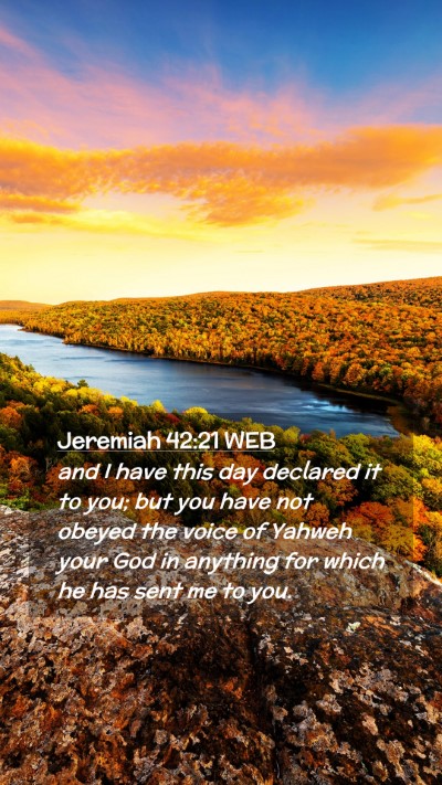 Picture 02 - Jeremiah 42:21 WEB Mobile Phone Wallpaper - and I have this day declared it to you; but you - Mobile Bible Verse Wallpaper