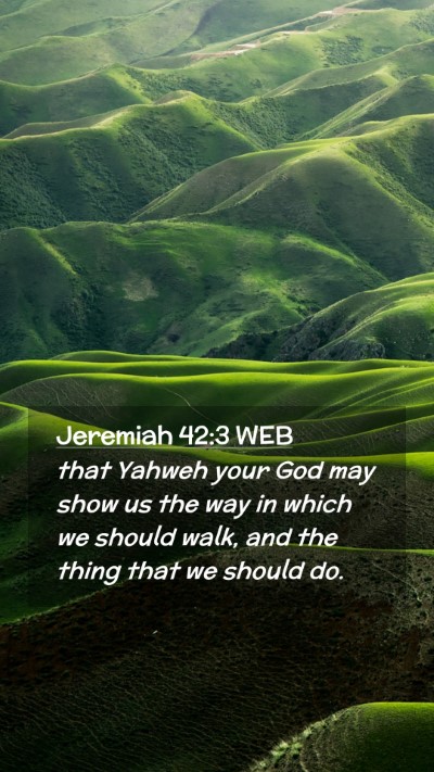Picture 02 - Jeremiah 42:3 WEB Mobile Phone Wallpaper - that Yahweh your God may show us the way in which - Mobile Bible Verse Wallpaper