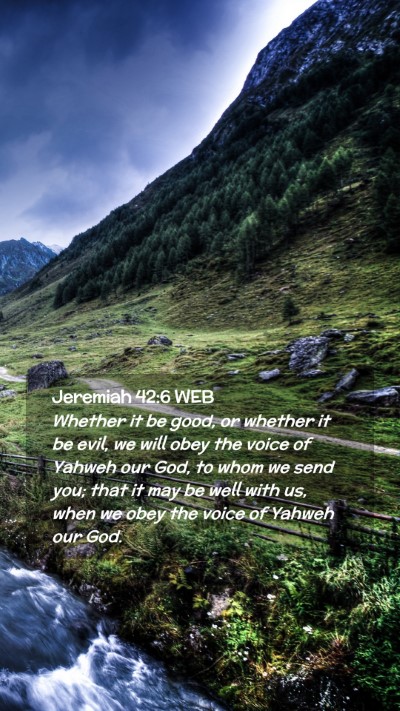 Picture 02 - Jeremiah 42:6 WEB Mobile Phone Wallpaper - Whether it be good, or whether it be evil, we - Mobile Bible Verse Wallpaper