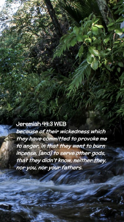 Picture 02 - Jeremiah 44:3 WEB Mobile Phone Wallpaper - because of their wickedness which they have - Mobile Bible Verse Wallpaper